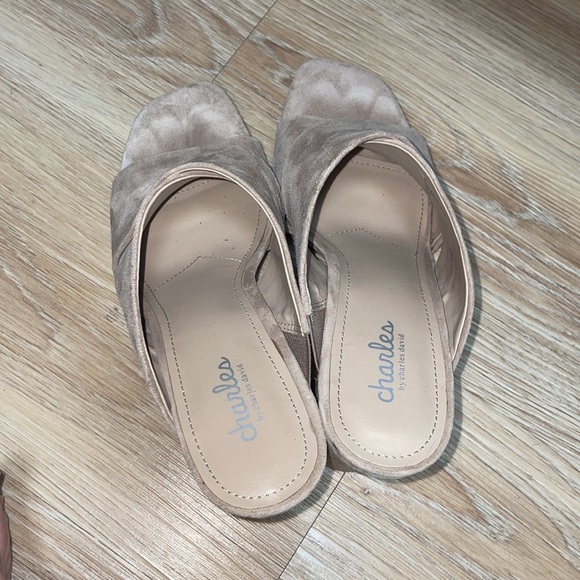 Charles by Charles David Block Heel Platform Sandal - Picture 5 of 9